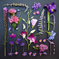 【摄影】《The Garden Collection》，使用同色系不同形态的花朵和植物摆放而成，共包含8幅作品8种色彩，来自美国女摄影师Emily Blincoe，另请参阅她之前的作品《糖果》：http://t.cn/zQEGpoP。