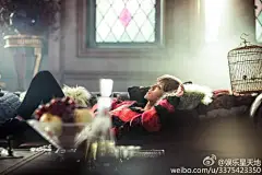 @M鹿M 鹿晗新歌《微白城市》（Winter song）MV正式版上线啦！如花少年，光影绮丽，清冽歌声…鹿晗携手蜷川实花，以大电影拍摄标准，搭配美国制作人Santell与法国电子乐新贵Picard bros.共同呈现华美梦境，心血挑战音乐审美极限！ #探索音乐鹿##鹿晗#L微白城市