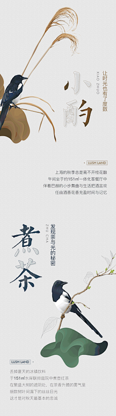 红缨鱼采集到广告 创意