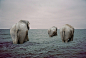 人类孤岛—惊人的数位摄影合成Johan Rosenmunthe(3)