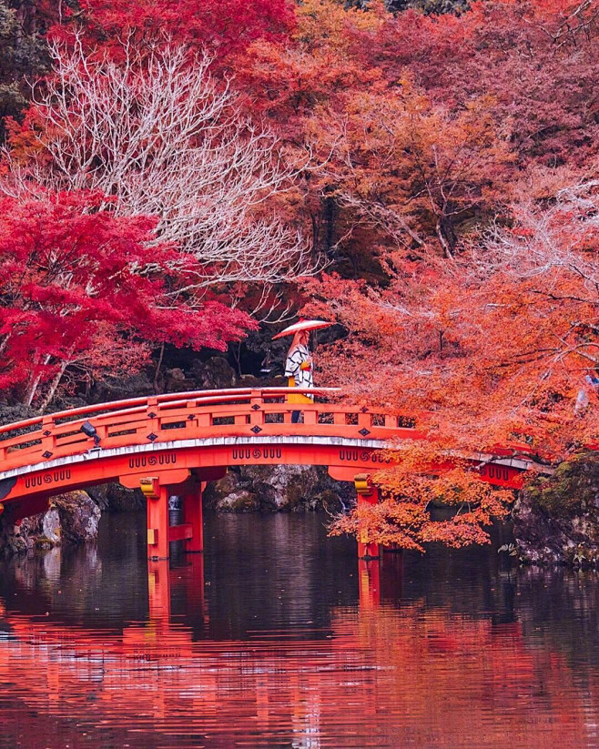 日本红叶季