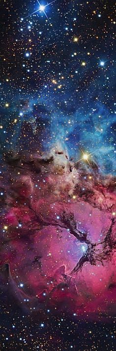 Triffid Nebula.