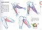 Pin page