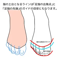 「ゆるやかに「足」を練習してみる　その④」/「季月エル」の漫画 [pixiv]