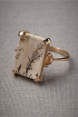 Life Begins Here / microcosm ring