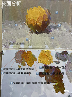 猫毕业采集到色彩静物
