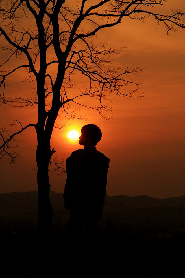 唯美夕阳剪影大自然赐予我们的美丽
