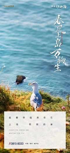 FunFunny采集到| 文旅 |