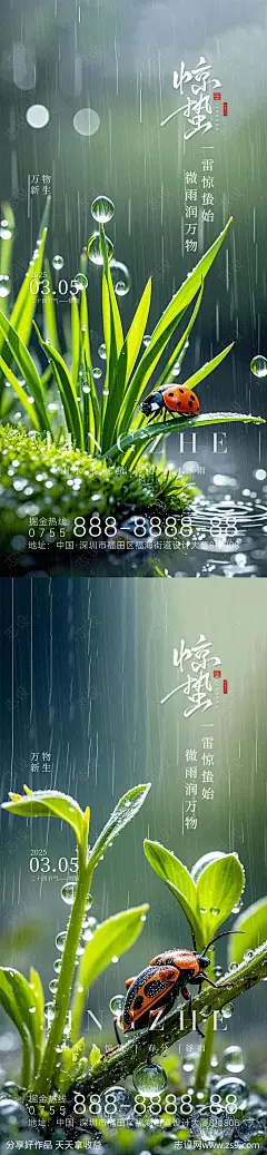 惊蛰节气海报-源文件-志设网-zs9.com