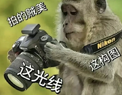 smallzhou采集到表情包
