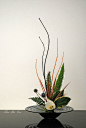 (22) Pinterest