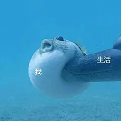 生活与我表情包表情包无水印​​​