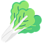 Search results for Vegetable - Flaticon