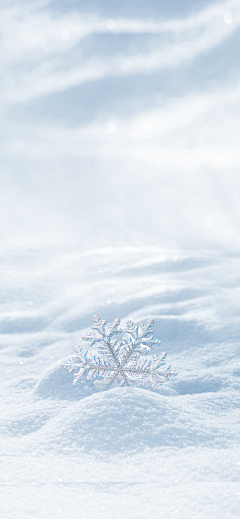 比奇堡章鱼哥~采集到（火、雪）山