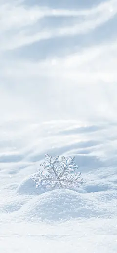 采集图片