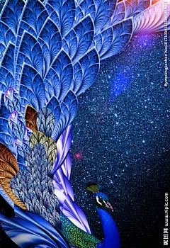 孔雀背景图片,孔雀背景模板下载,孔雀 背景 传单 海报 素材,孔雀背景设计素材,昵图网：图片共享和图片交易中心