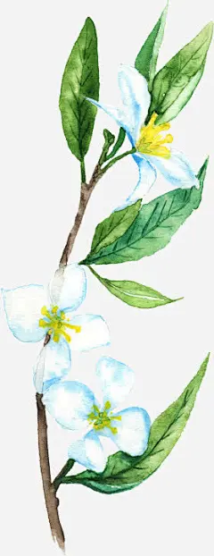 手绘插画摄影女装海报效果图高清素材 女装 插画 摄影 效果图 海报 免抠png 设计图片 免费下载