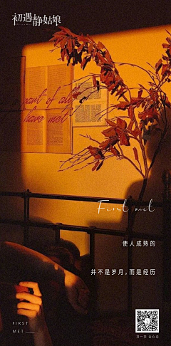 BINGO_Z采集到节日