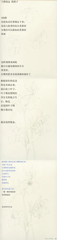 水彩---教程 - 高清图片，堆糖，美图壁纸兴趣社区