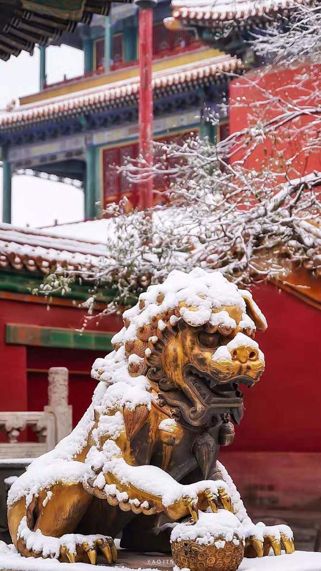 每一张雪景照，都美得可以当屏保