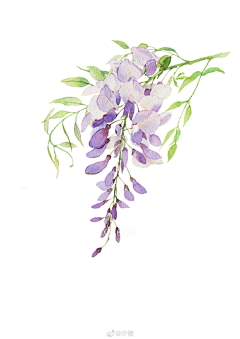 小光aki采集到花花