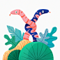 - Illustrations -
