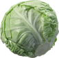 卷心菜