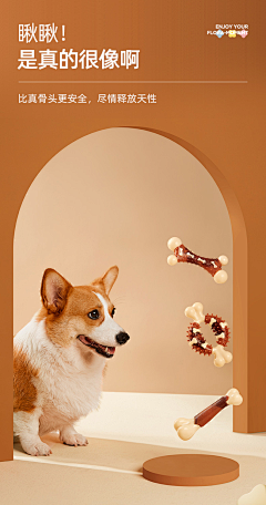仪乔采集到犬猫背景图片