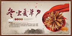 中国风冬虫夏草药材模板展板