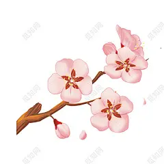 手绘卡通桃花春天元素花开粉色元素