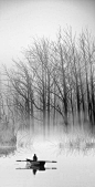 de nulle part a jamais ト photographie noir et blanc black and white aquatic étang arbres tree forest nature paysage landscape