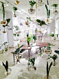 hanging gardens