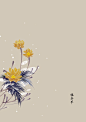 水彩 植物花卉 插画 artistic青尘/绘