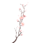手绘水彩梅花花卉植物元素5