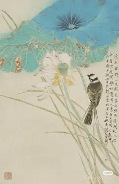 画中的荷塘，鸟语鱼欢～ - 小红书