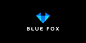 Blue Fox
国外优秀logo设计欣赏