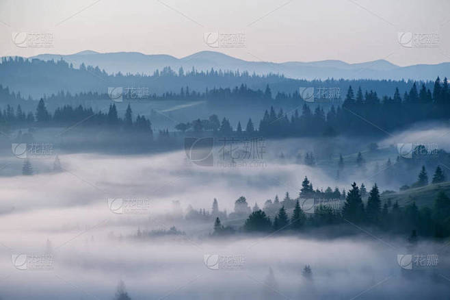 美丽的风景与山间和晨雾在太阳