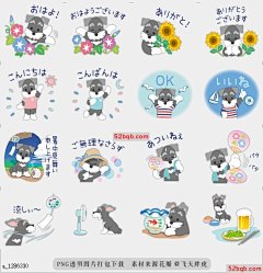 line贴图表情包Schnauzer 8夏季|Tuna of Schnauzer 8 Summer 迷你雪纳瑞贴纸，这是夏季版，|Stickers of Miniature Schnauzer.This is the Summer version.@飞天胖虎
