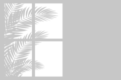 吾五是五采集到投影 PNG