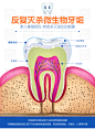 田七泡泡牙膏|微商海报|微商系列海报|朋友圈海报|微商设计|朋友圈设计|手机素材|朋友圈/15914409177