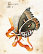 采至Lynn的花瓣画板 插画们。蝶蛇。#动物水彩01#