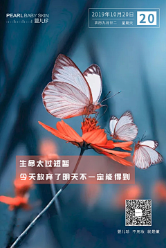 冬景采集到正念语录