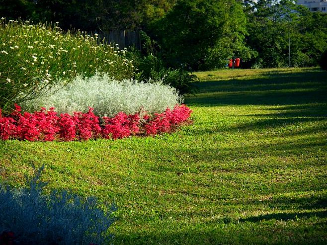 Jardim Botânico