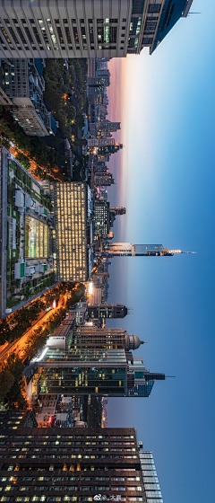 雨天蜥蜴采集到底图 / 城市 科技感