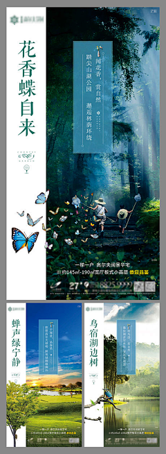 嘿黑月采集到鸟
