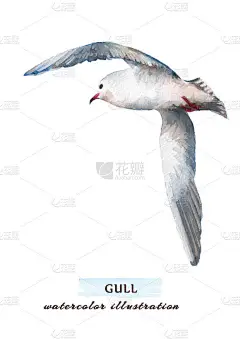 美丽的海鸥飞向天空。水彩画手画插图.