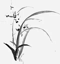 手绘花草水墨画高清素材 3G壁纸站 PNG 手绘 水墨画 花草 黑色 免抠png 设计图片 免费下载