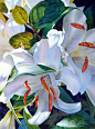 Beautiful white lilies: 