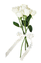 f2a31e527b278c833851ffee07c9ae6beb64f3935ab97-m2Ne9w_fw1200