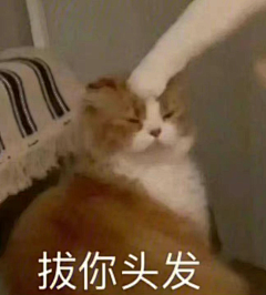 子轩œ采集到摸鱼-表情包